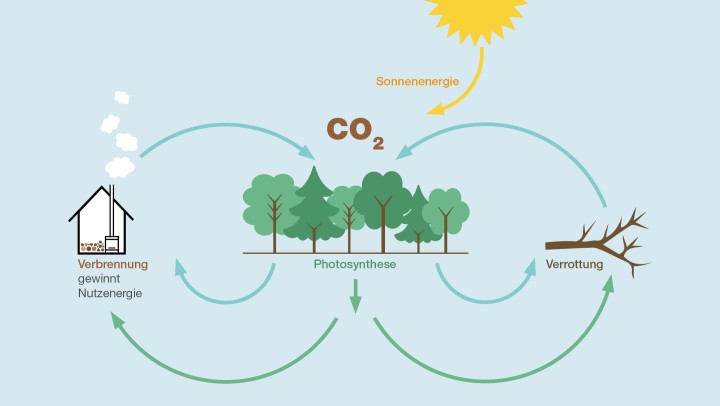 gbm Fernwaerme Photosynthese Desktop