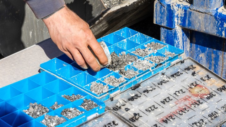 ml24 bc gbm tgrwasser 081